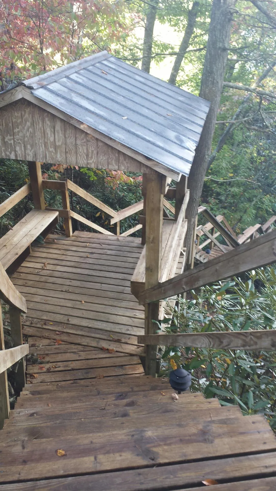 Metal roofed shelter over wooden steps on a wooded walkway — Skylight Repair & Installation work by our crew in Vader